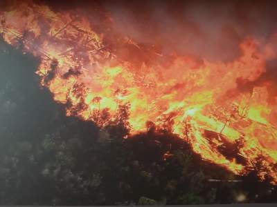 Fuego en La Gomera (Valle Gran Rey)