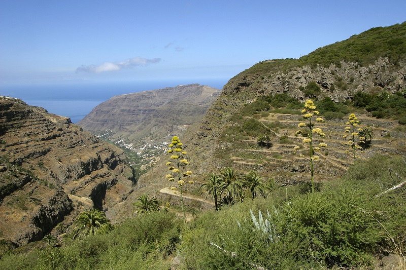 der-sueden-von-la-gomera-valle-gran-rey.jpg