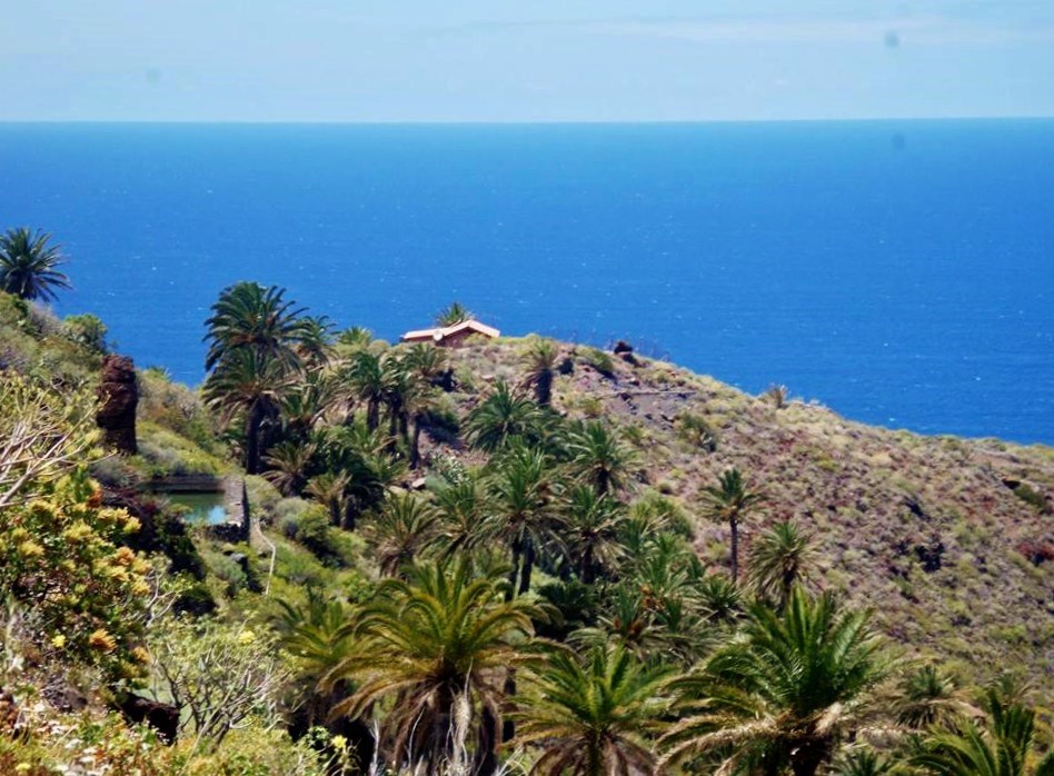 alojera-auf-la-gomera-natur.jpg